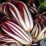 Targ na Piazza Campo de’ Fiori /Rzym