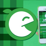 E-food – aplikacja, którą powinieneś mieć