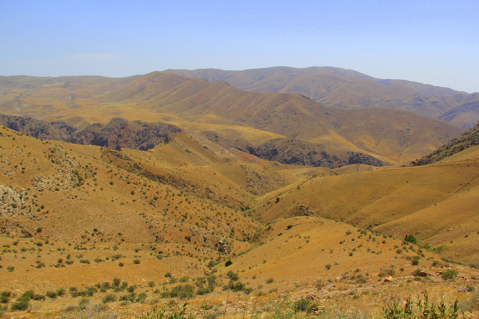 armenia