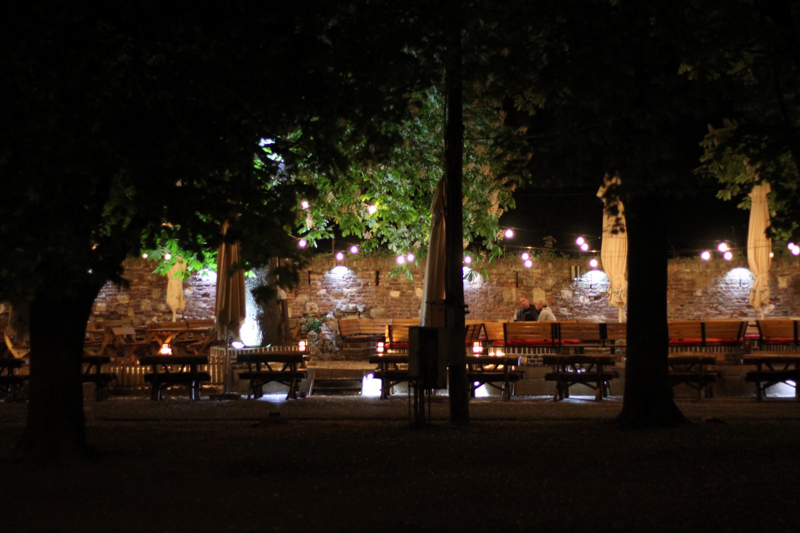belgrad przewodnik