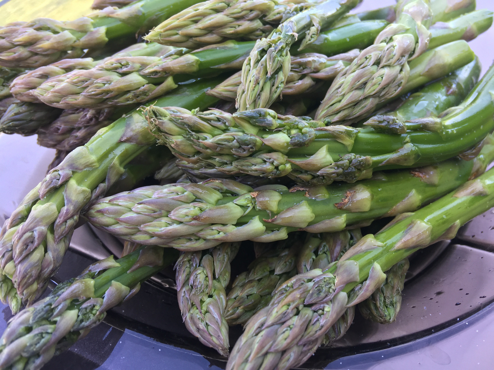 grill przepisy na grilla 