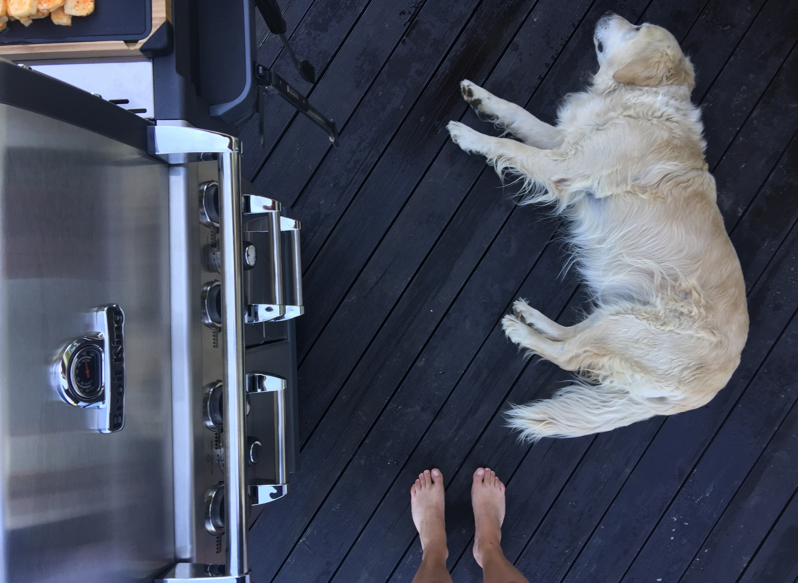 grill przepisy na grilla 