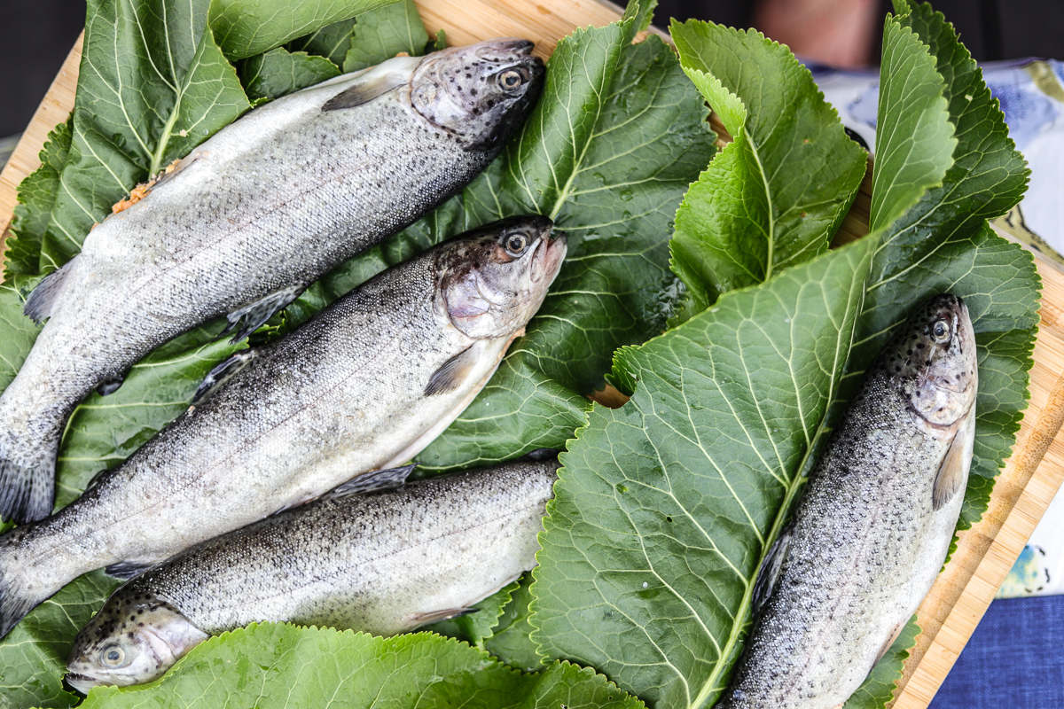 dietetyczne dania z grilla przepisy