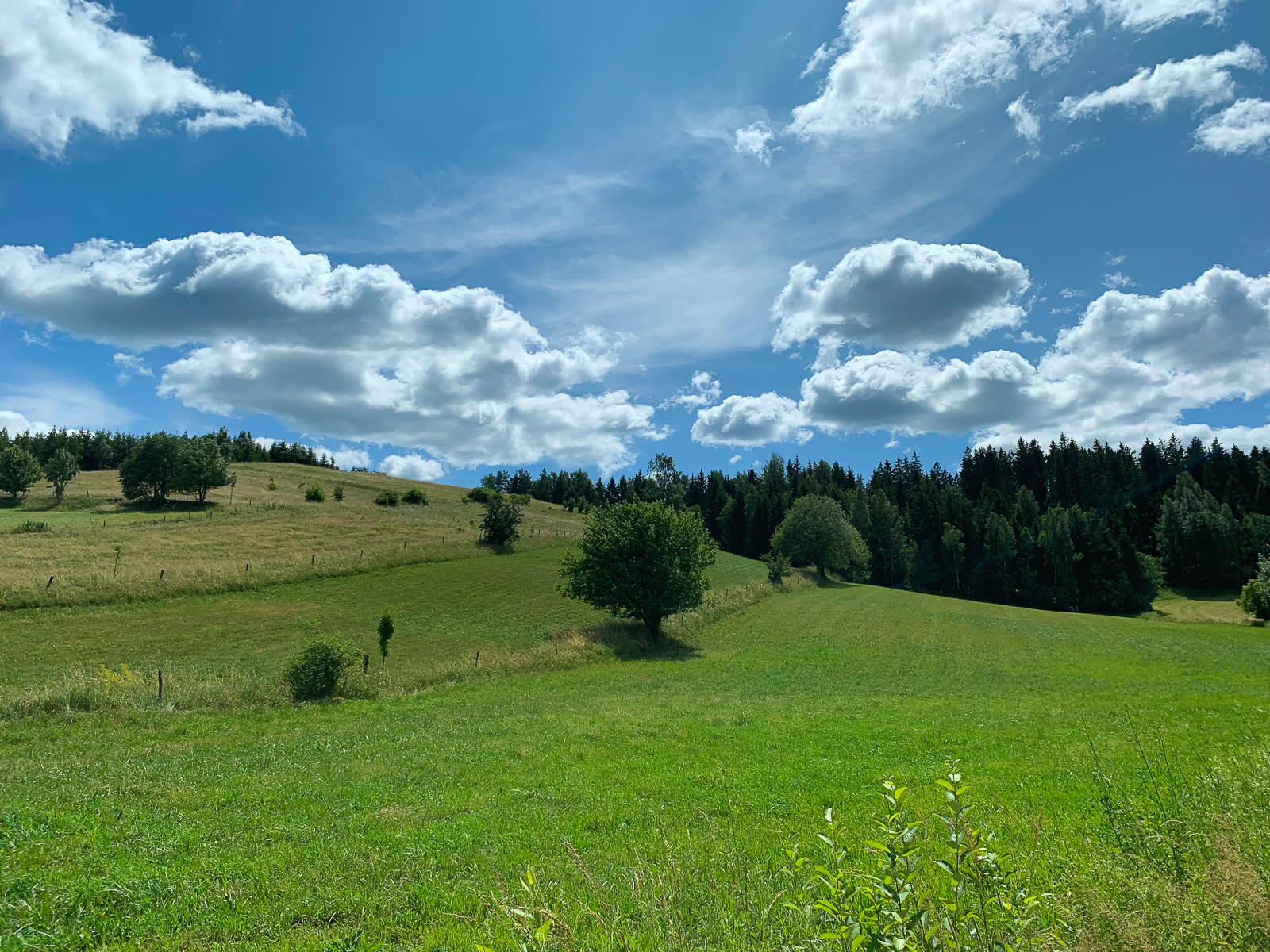 suwalszczyzna atrakcje co zobaczyc