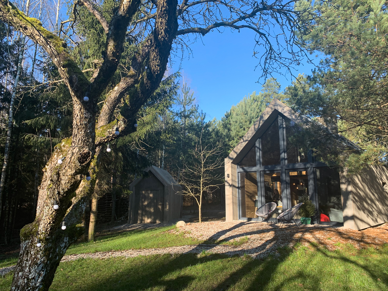 sauerwald warmia