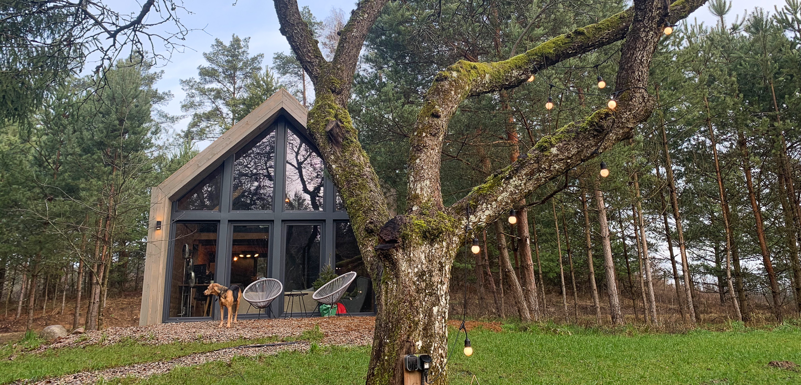 sauerwald warmia