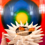 MDWA – wszystko tu zaczyna się od „naj”