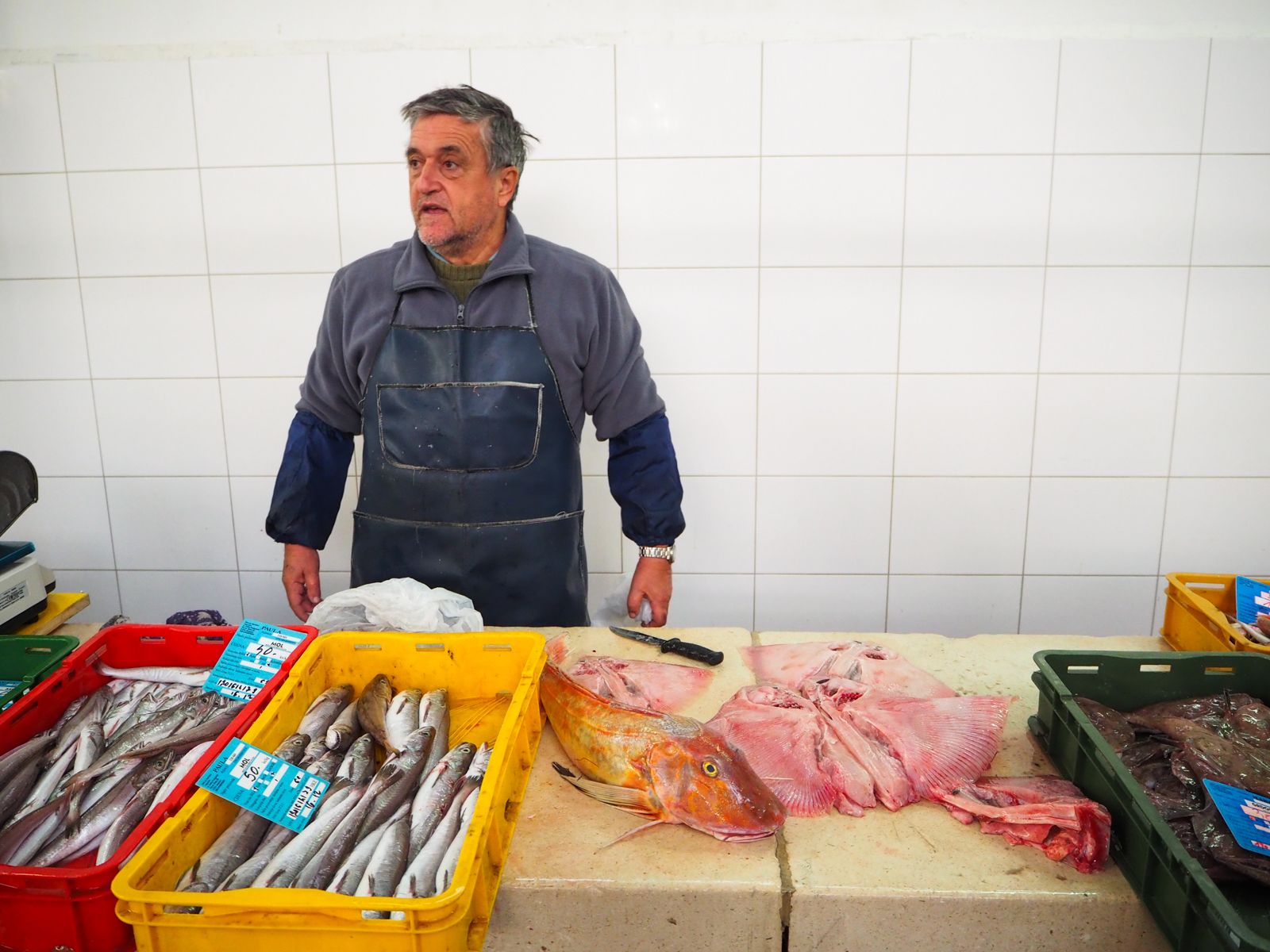 split co zobaczyc gdzie jesc