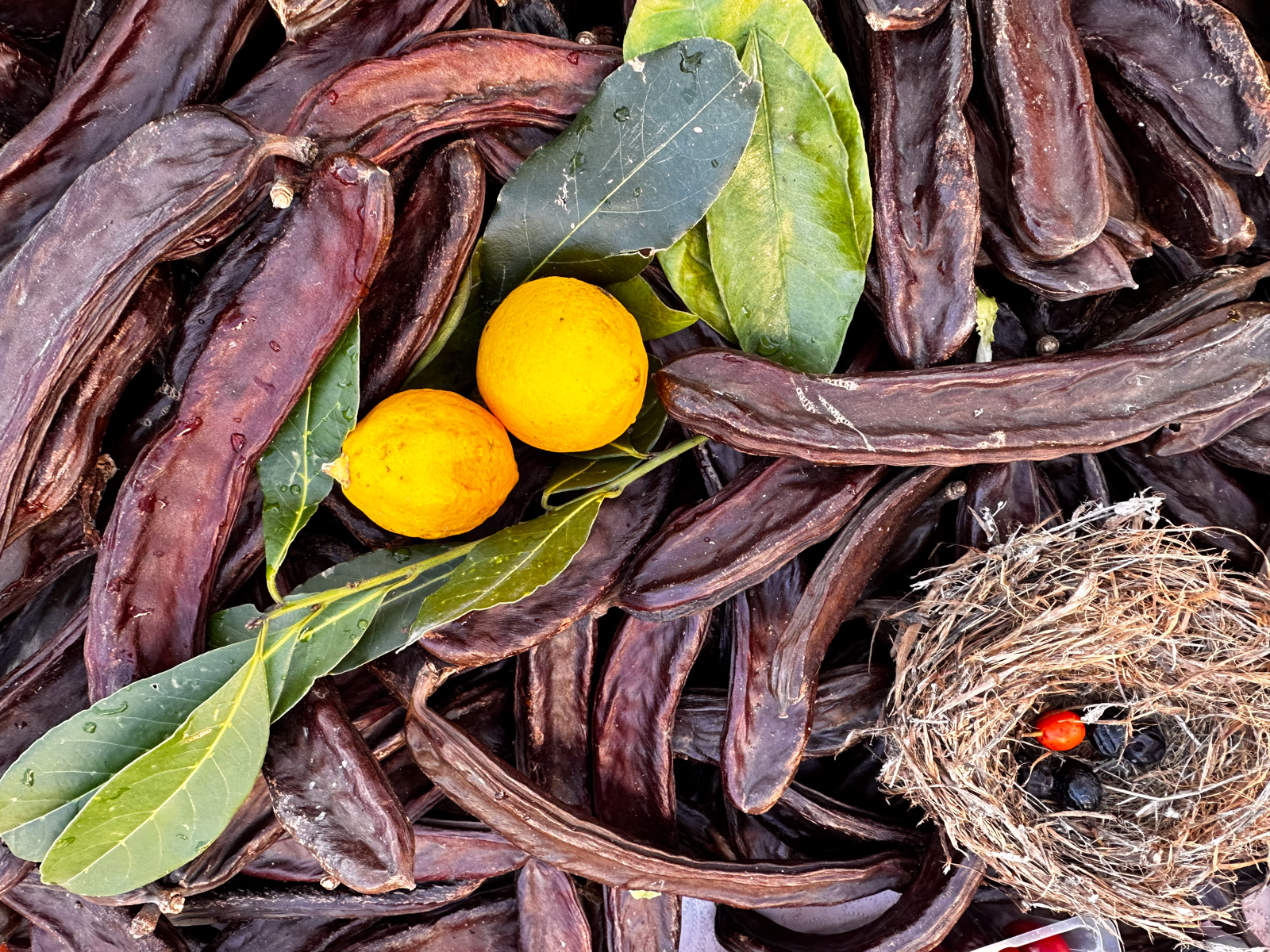 split co zobaczyc gdzie jesc