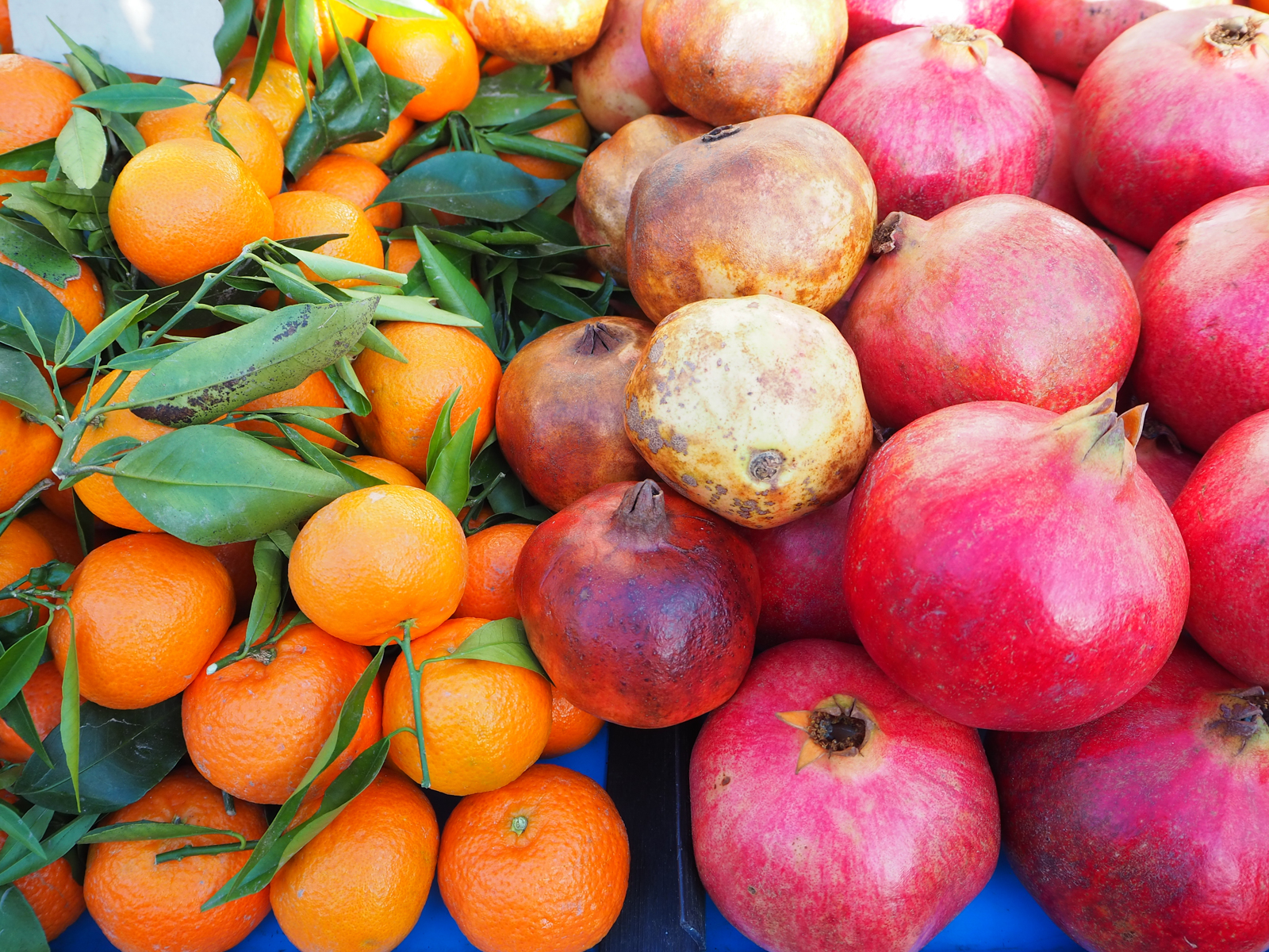 split co zobaczyc gdzie jesc