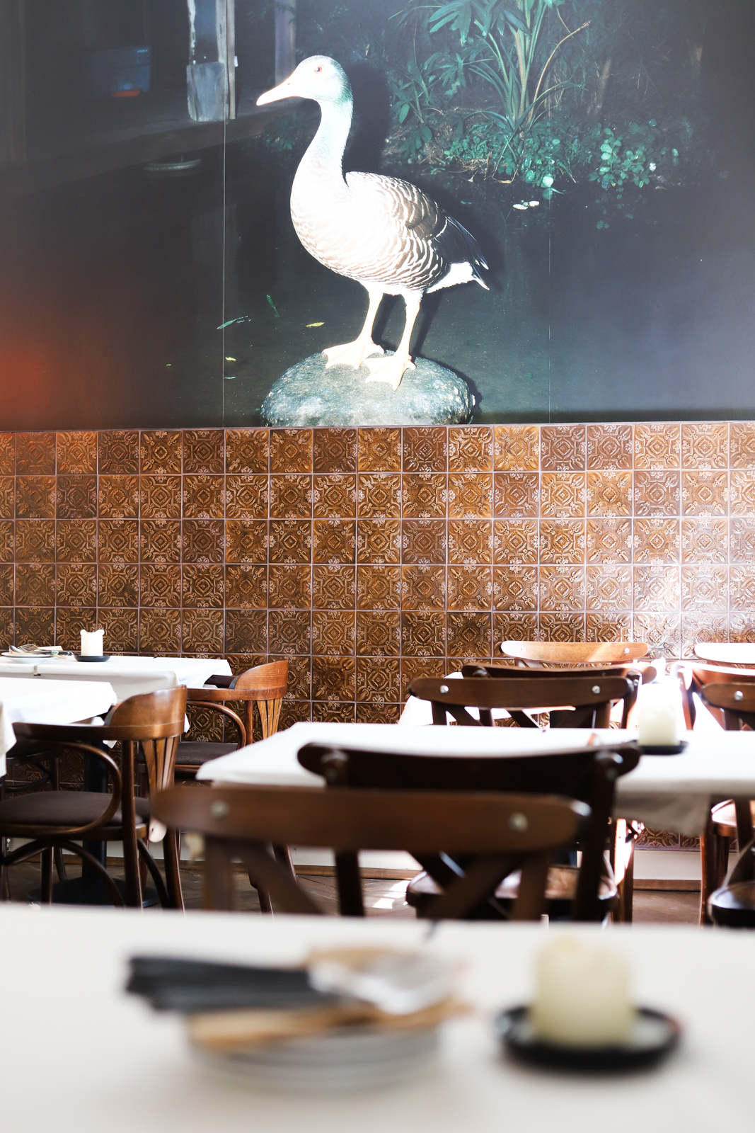 gani talerzyki warszawa